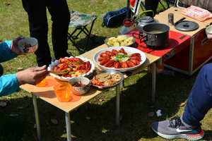 DSC_0739.jpg